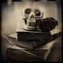 ..: MeMenTo mOrI :..