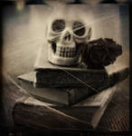 ..: MeMenTo mOrI :.. by Mademoiselle-P