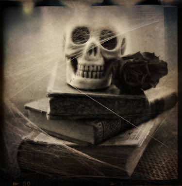 ..: MeMenTo mOrI :..