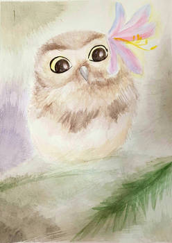 Watercolour Wonder Owl