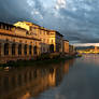 Florence 6