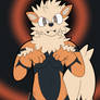 Arcanine Suit 4