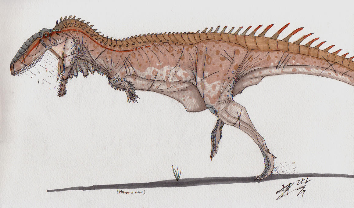 Mapusaurus roseae 00 by AtolmAzel on DeviantArt