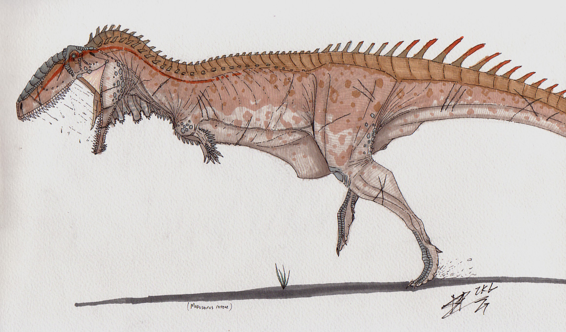 Mapusaurus roseae 00 by AtolmAzel on DeviantArt