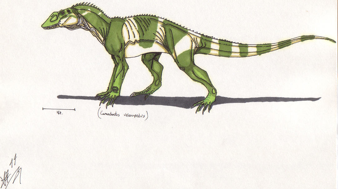 Lizards 00 by AtolmAzel on DeviantArt