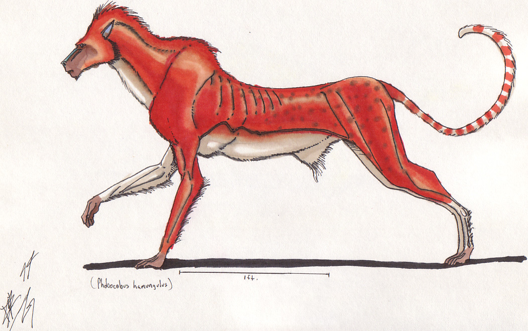 Primates Deviantart Base Primates 00 by AtolmAzel on DeviantArt