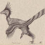 Deinonychus antirrhopus 00