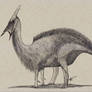 Hypothetical Advanced Lambeosaurid 03