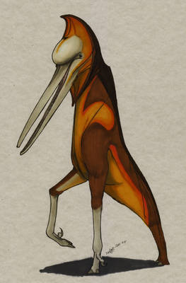 Tripedatherium longiceps 00