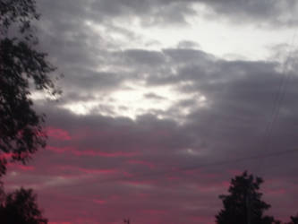 Pink sky :3