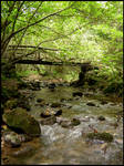 Old wood bridge by aliveruka