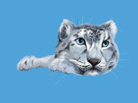 Snow leopard speed paint