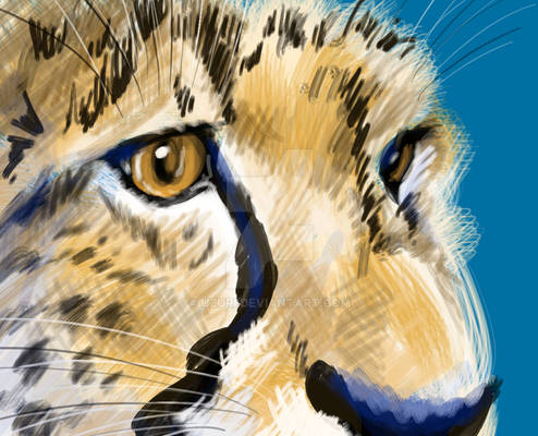 Cheetah detail speedpaint