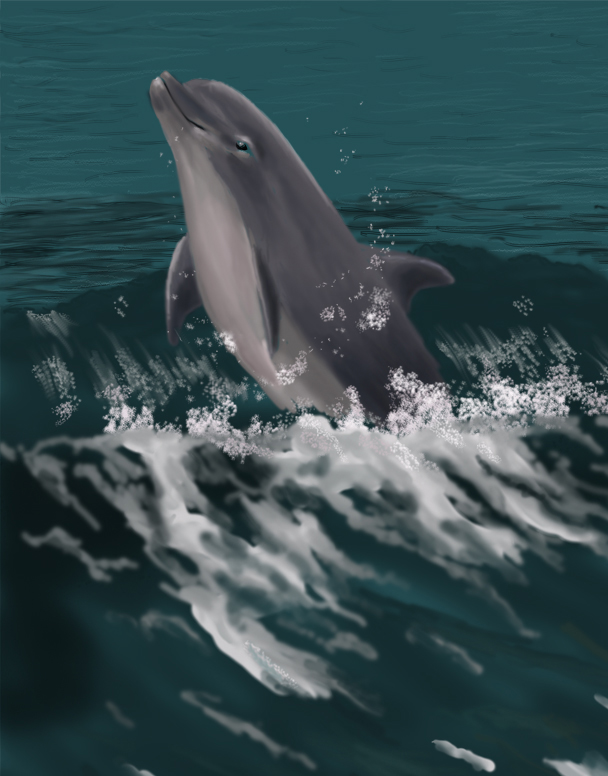 Dolphin