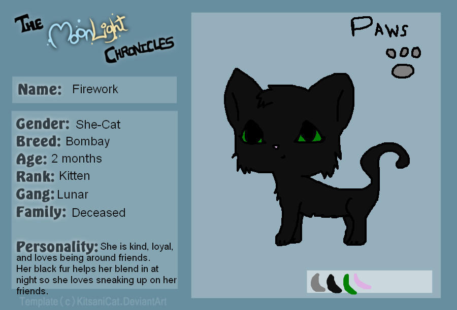 Firework reference sheet by kittycutie11 on DeviantArt