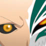 Hitsugaya Vaizard