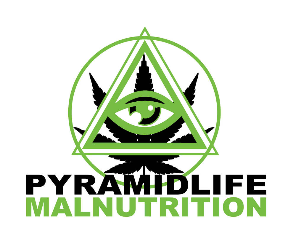 Life Pyramid Images Pyramid Life by zaceron on DeviantArt