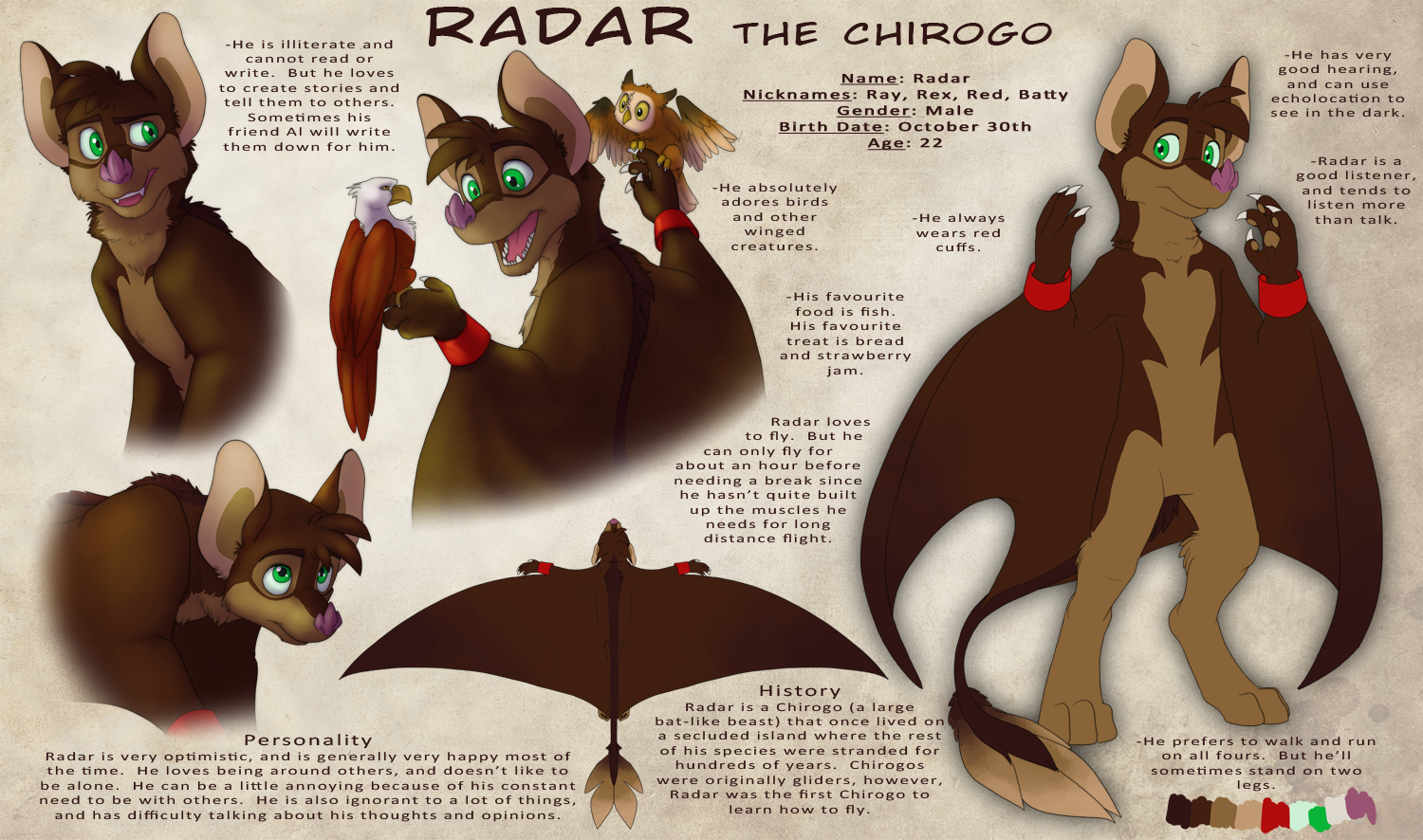 Radar the Chirogo