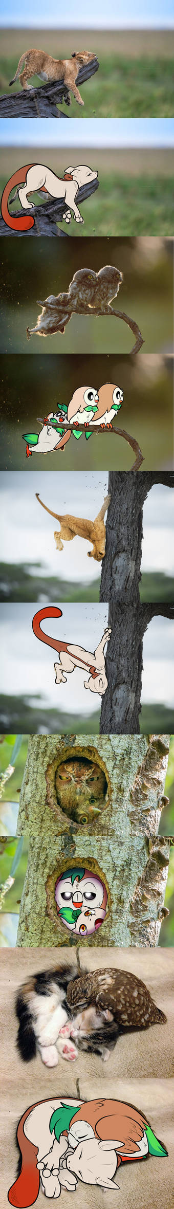 Dart and Copper Doodles