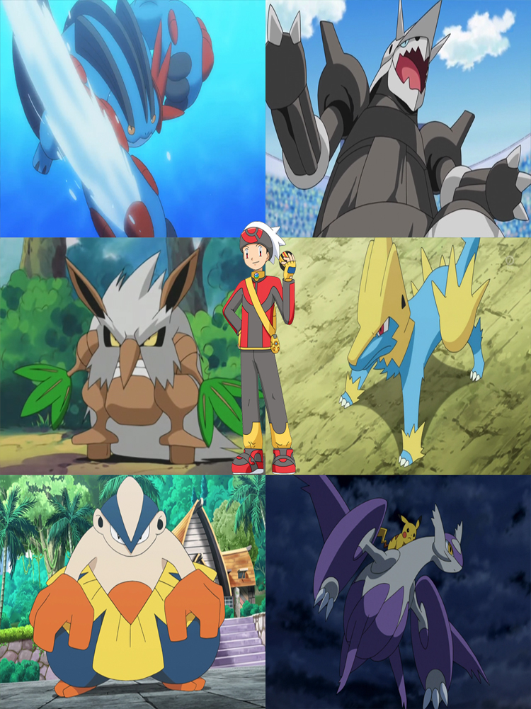 Brendan Birch's Pokemon Team by Harry-Greninja on DeviantArt