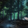 Forest Study 1