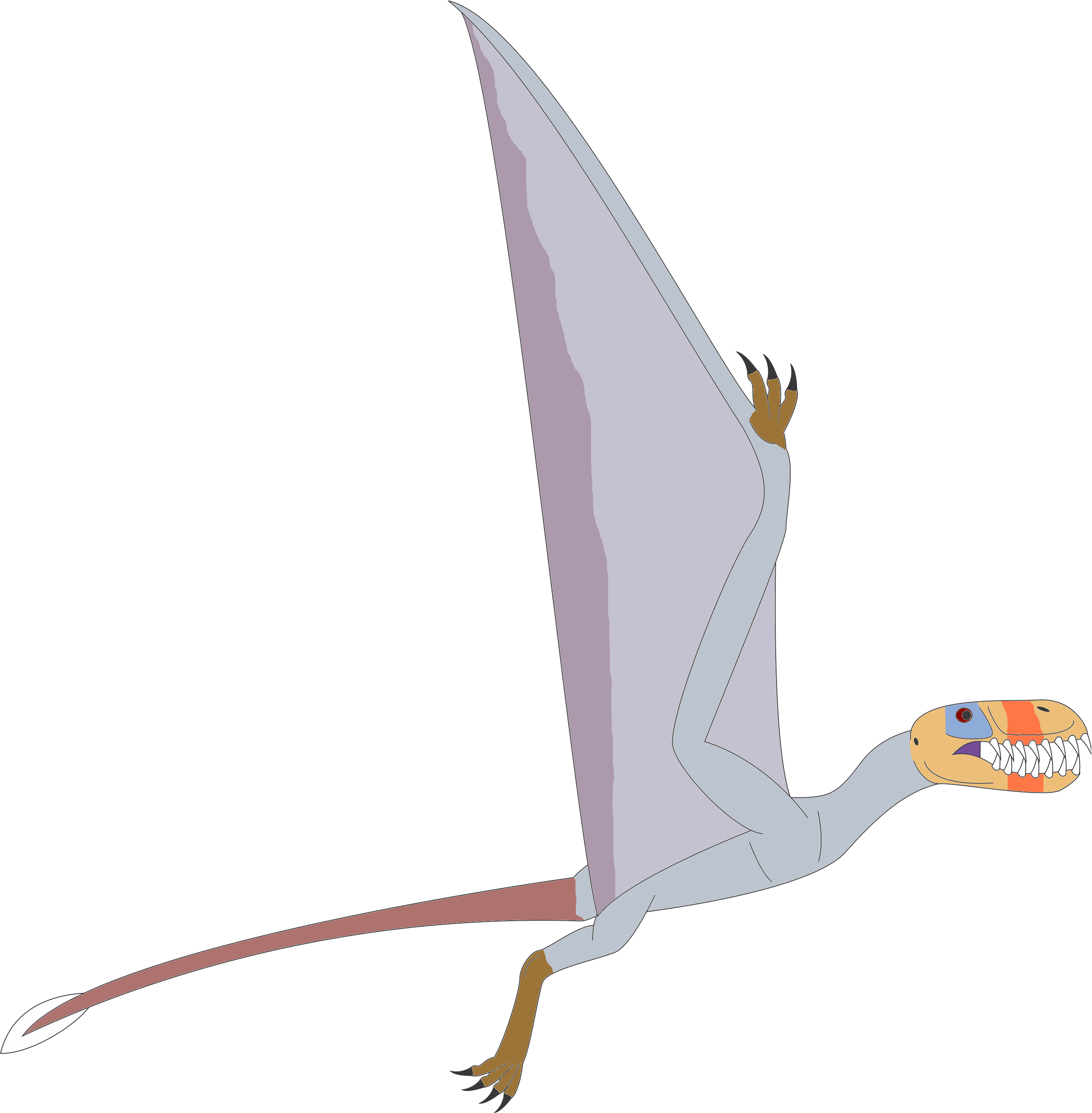 Walking with dinosaurs Dimorphodon by ninjakingofhearts on DeviantArt
