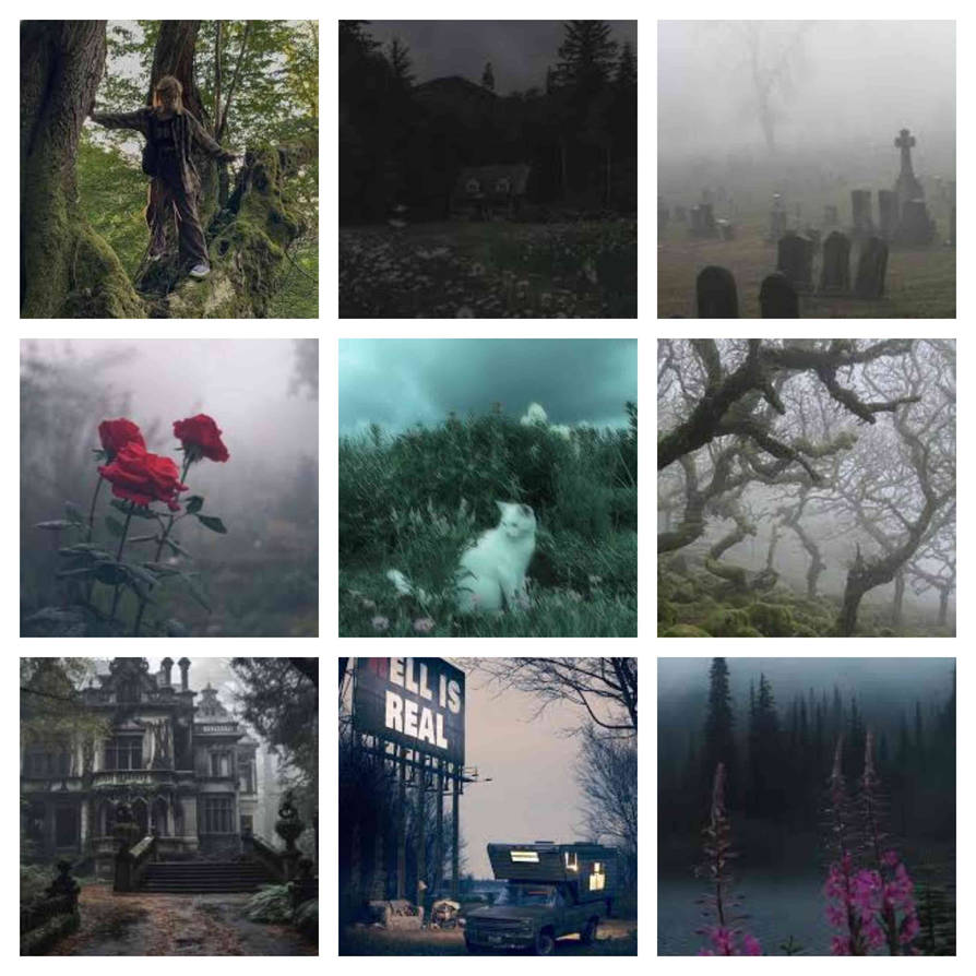 Gloomcore Roses Gloomcore Aesthetic Moodboard by Lizabirb on DeviantArt