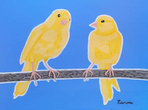 BIRDS FROM SUNNIER CLIMATES: CANARIES