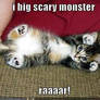 Scary Kitty