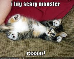 Scary Kitty