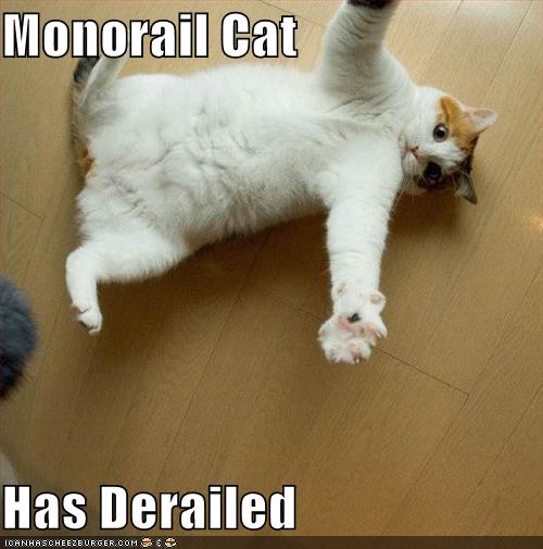 Monorail cat has Derailed