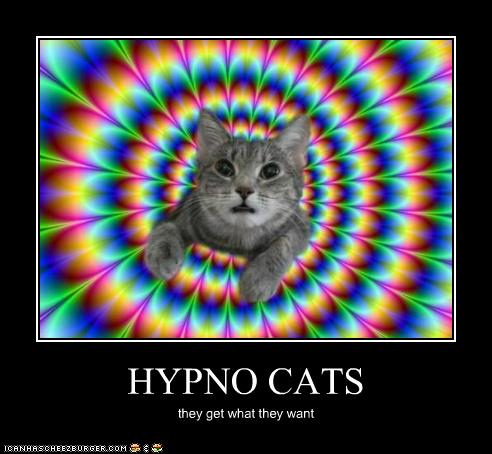 Hypno Catz