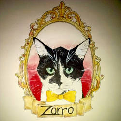 Zorro