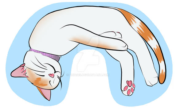 Kitty Neck Pillow Design 