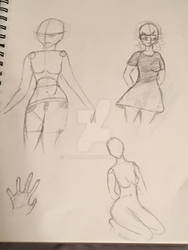 Anatomy practice