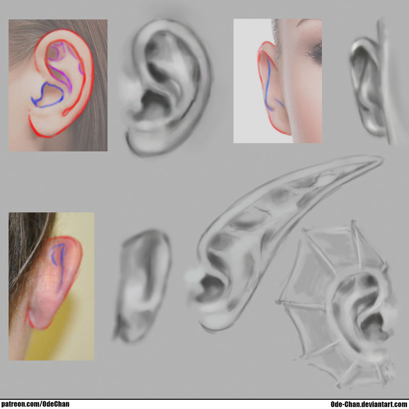 Day 8 - Ear Forms