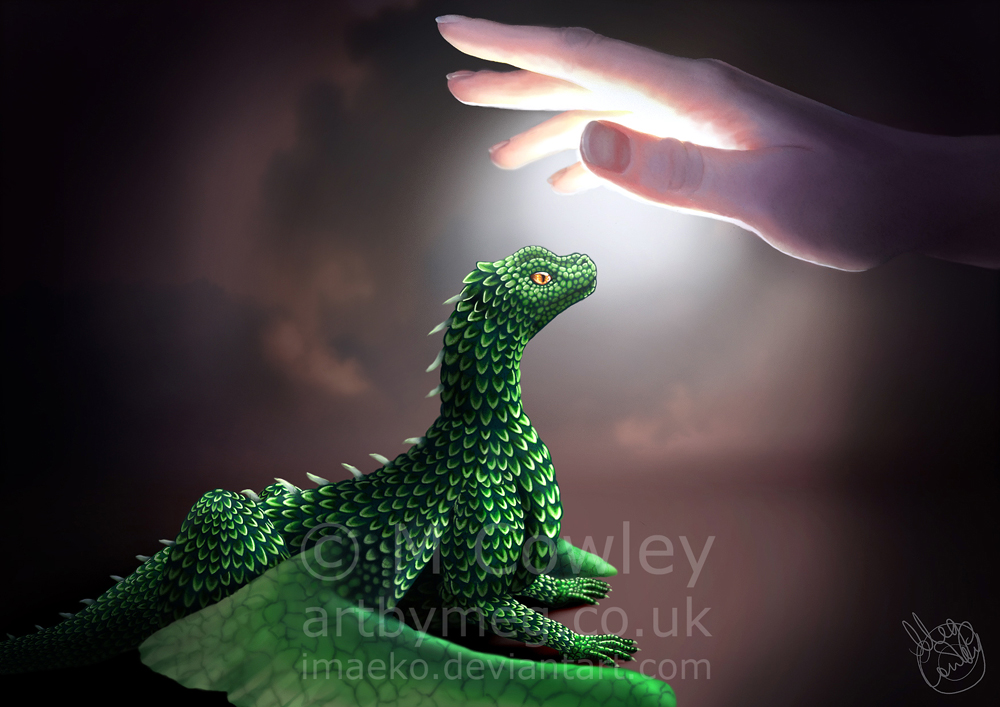The Shining Palm of Arya Shadeslayer by megcowley