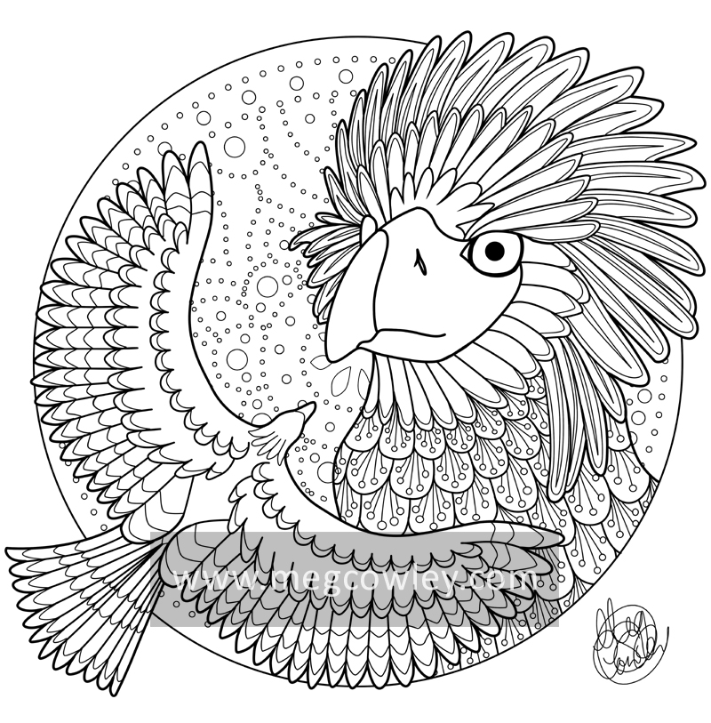 Download Philippine Eagle The Exotic Colouring Book By Megcowley On Deviantart
