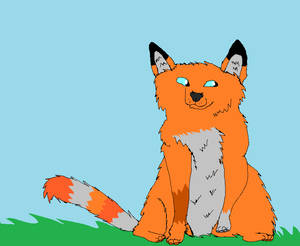 My attempt at a fox