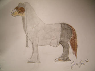 Justin Bieber Horse xP