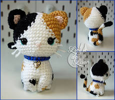 Minnie le chaton - Minnie the kitten