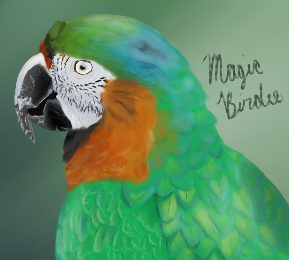 Hybrid macaw speedpaint