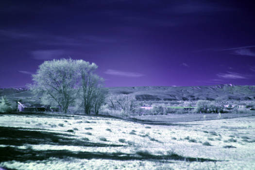 Ellensburg Hills IR