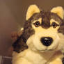 Fiesta plush wolf