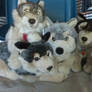 Some of my Uni-toy Wolfs