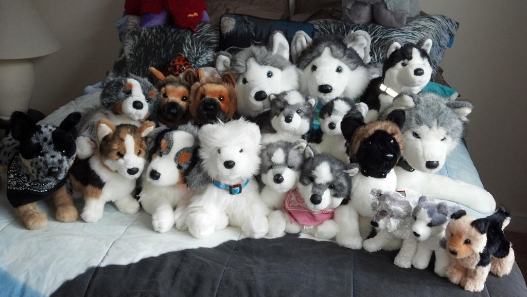 Douglas dogs!! by Vesperwolfy87 on DeviantArt