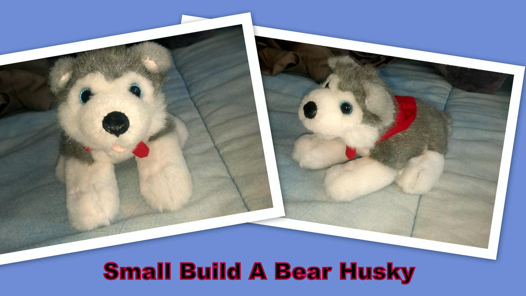Small build a bear husky