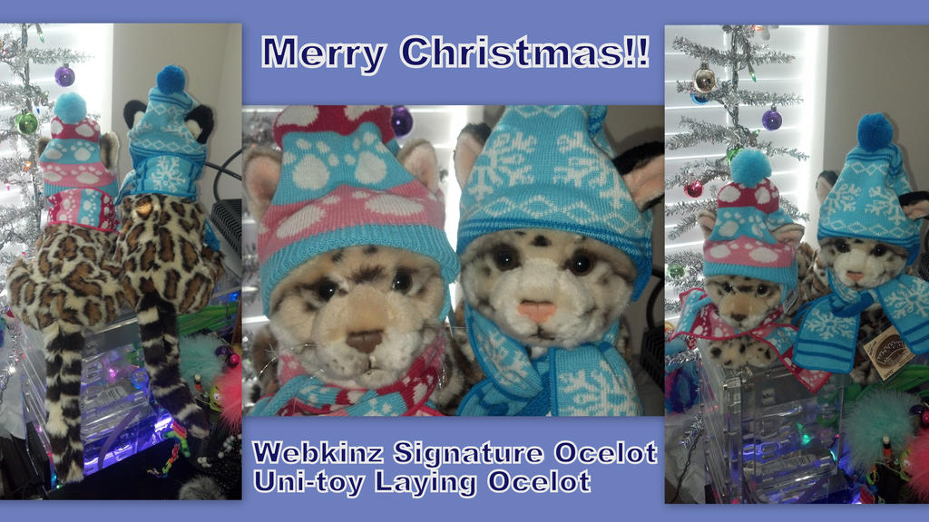 Winter Ocelots!!