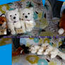 Webkinz Signature Small Red Fox and Arctic Foxes