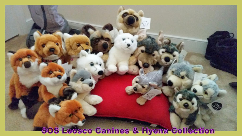 SOS Leosco Canine Hyena Collection!